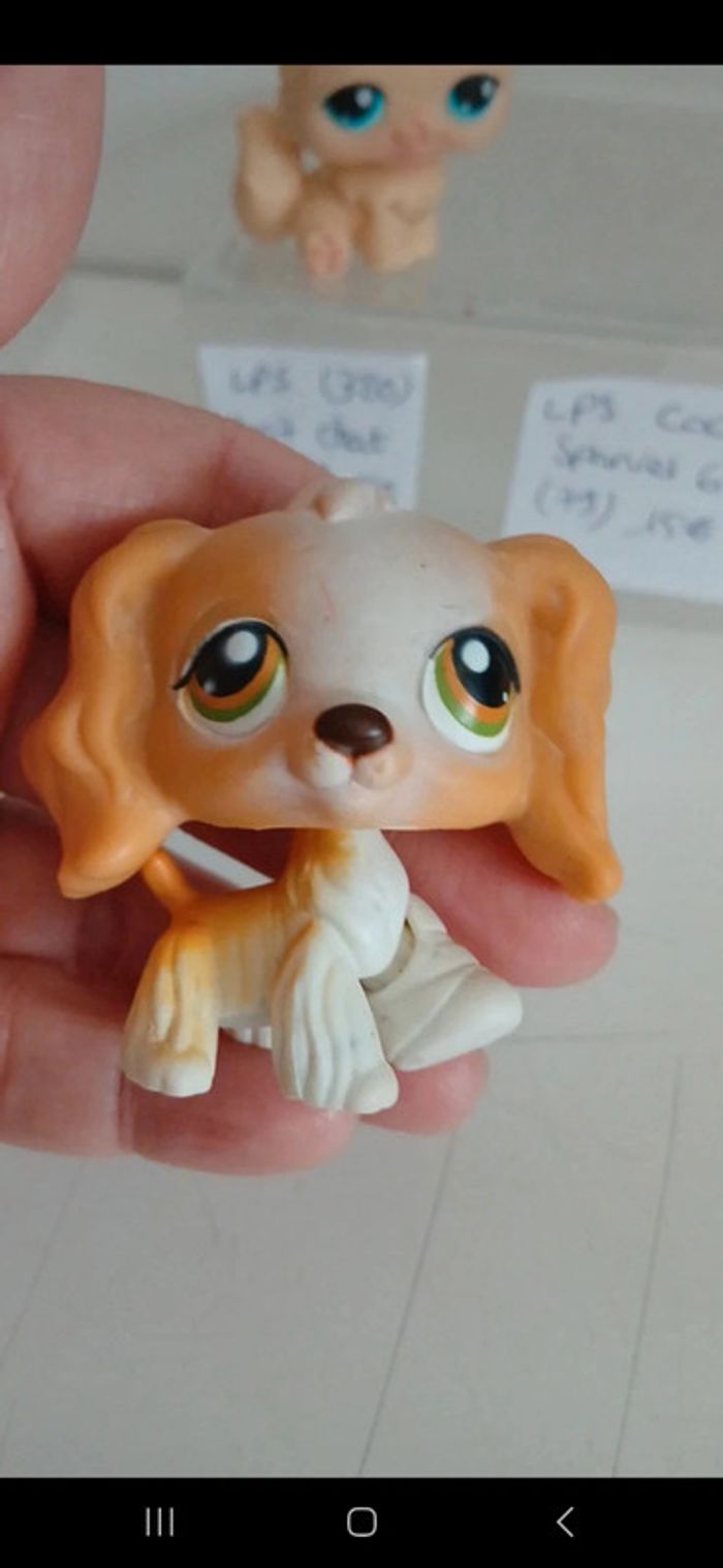 Littlest petshop - photo numéro 8