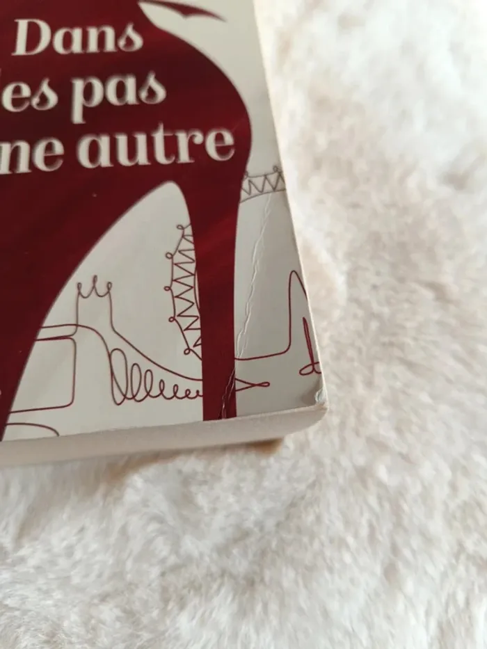 Livre : dans les pas d'une autre - photo numéro 2