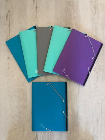 1 trieur cartonné 12 onglets avec rabat élastique 24x32 « exacompta » NEUF