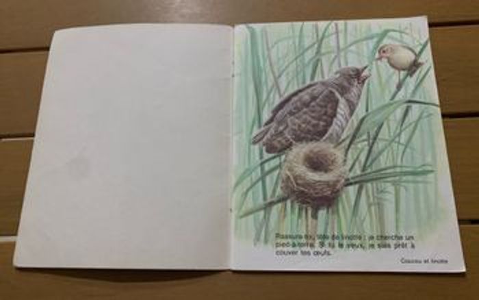 Amis d’ici et d’ailleurs - photo numéro 2