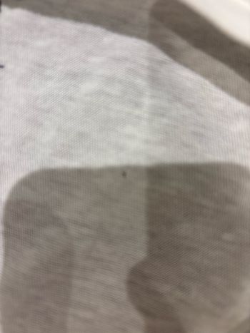 TEE shirt Teddy smith femme t m