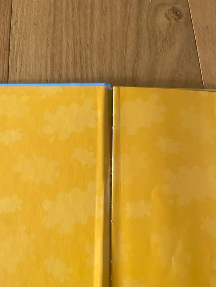 Lot livre peppa pig - photo numéro 4