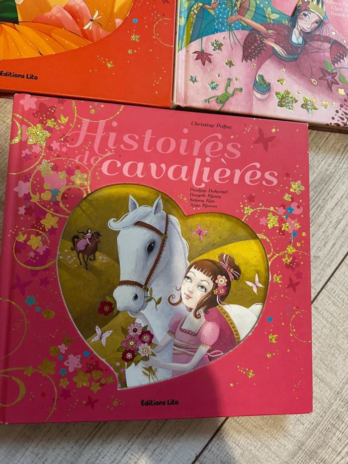 Lot 4 grands livres contes illustrés – princesses, fées, chevaliers - photo numéro 5