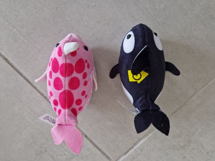 Aquarium zhuzhu - photo numéro 6