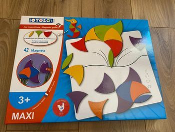 Jeu mémoire de forme magnétique 42 pièces 