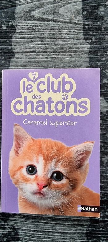 Livre le club des chatons