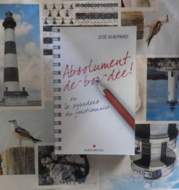 Absolument dé-bor-dée ! ou le paradoxe du fonctionnaire par Zoé Shepard Ed. Albin Michel