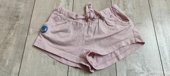 Short rose Sergent major T24M