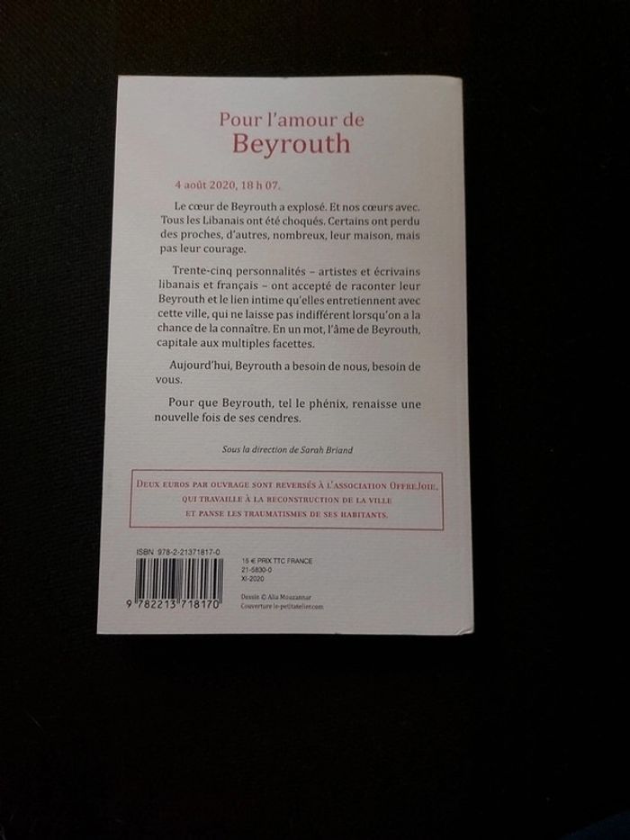 Pour l'amour de Beyrouth - photo numéro 2
