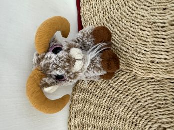 Corsica peluche doudou mini bouquetin marron chiné blanc entre ciel et mer Corse