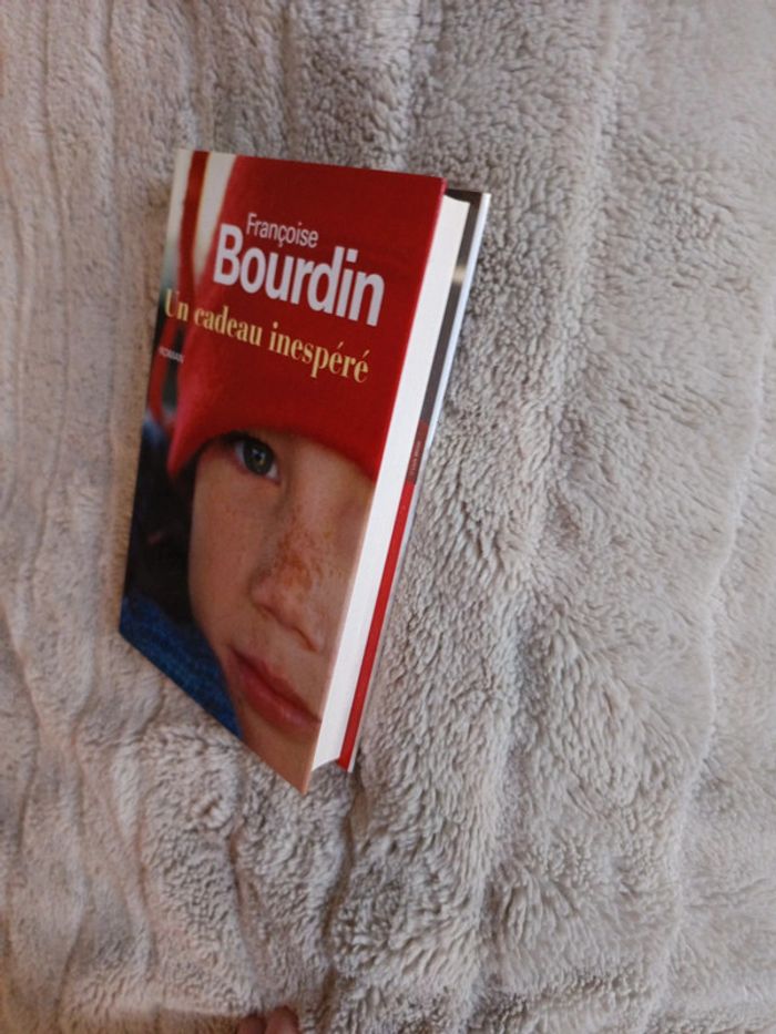 Un cadeau inespéré de Françoise Bourdin - photo numéro 4