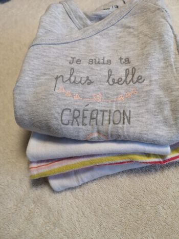 Lot 4 bodies 12 mois