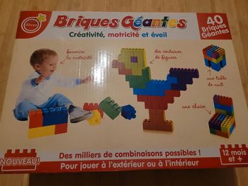 Briques géantes