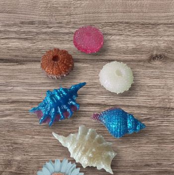 Lot 5 coquillages résine