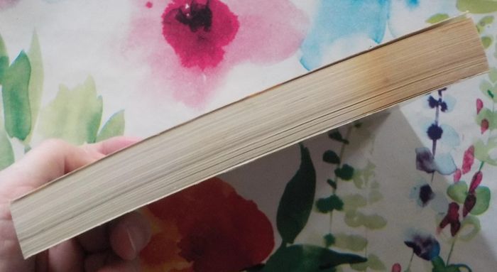 Nuits d'enfer de John Sandford Ed. Pocket - photo numéro 4