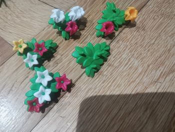Buissons fleurs