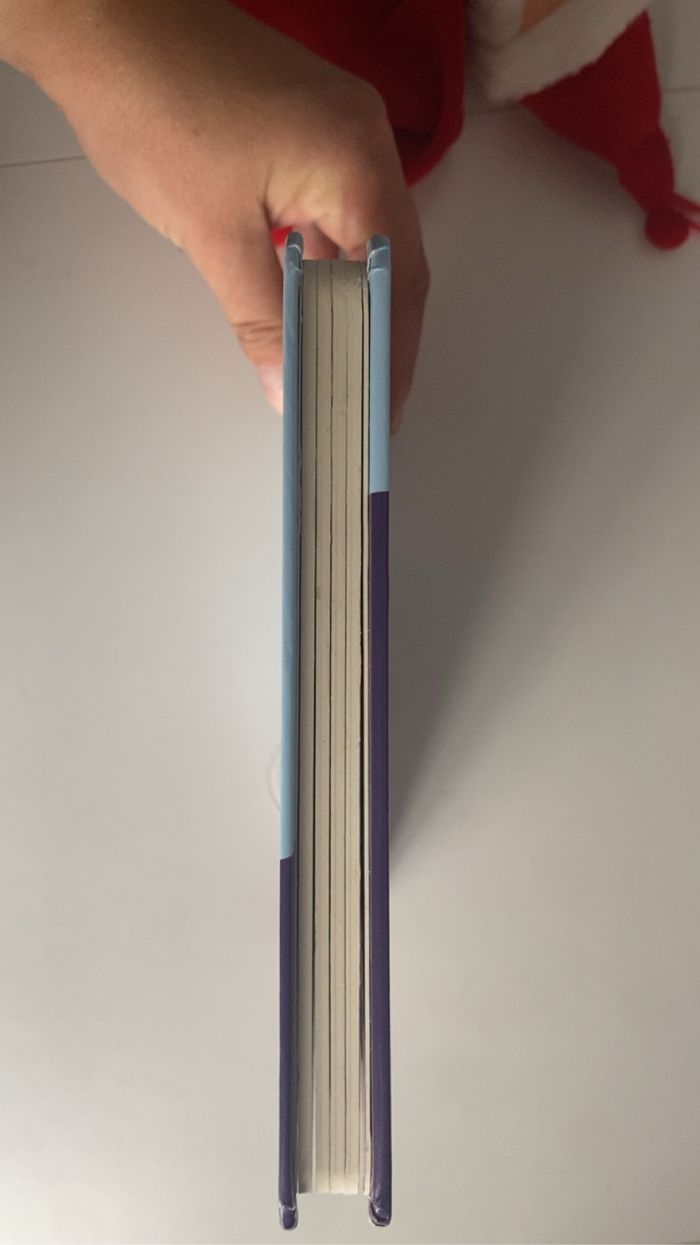 Livre imagier de Noël + doudou offert - photo numéro 5