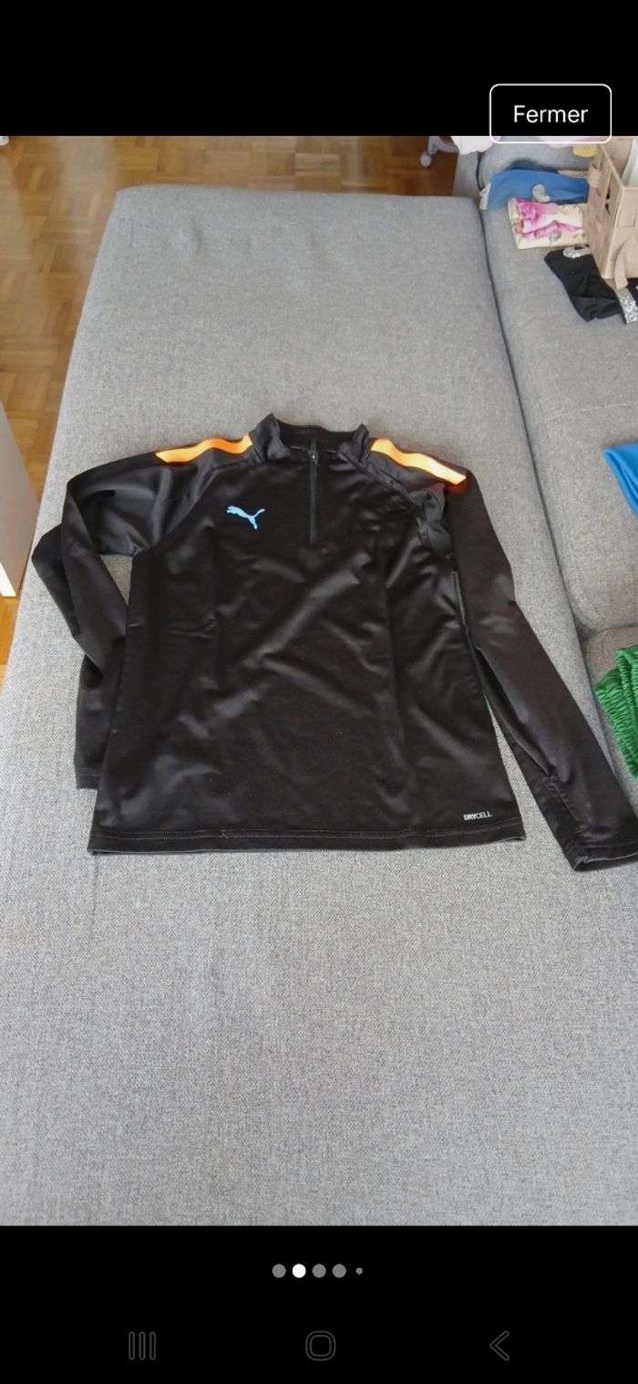 Sweet puma - photo numéro 2