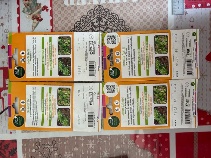 Gros lot de graines et semis légumes / salades - photo numéro 7