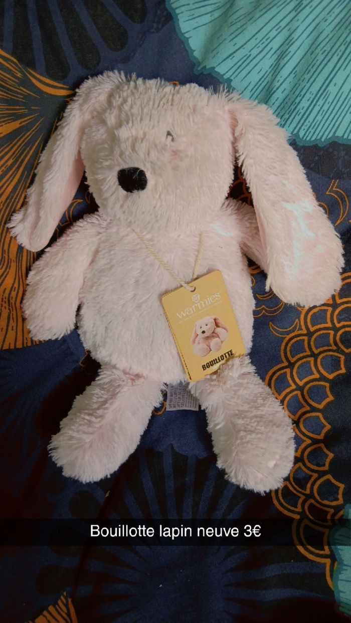 Peluche bouillotte