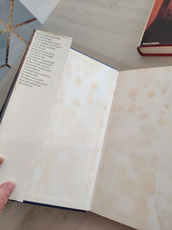 Tétralogie Robert Gaillard érotique historique chair cendre luxure volupté désir haine - photo numéro 11