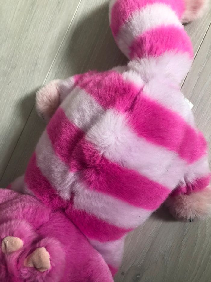 Chat du Cheshire - photo numéro 5