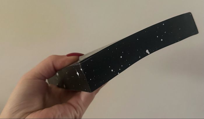 Livre Twilight - photo numéro 4