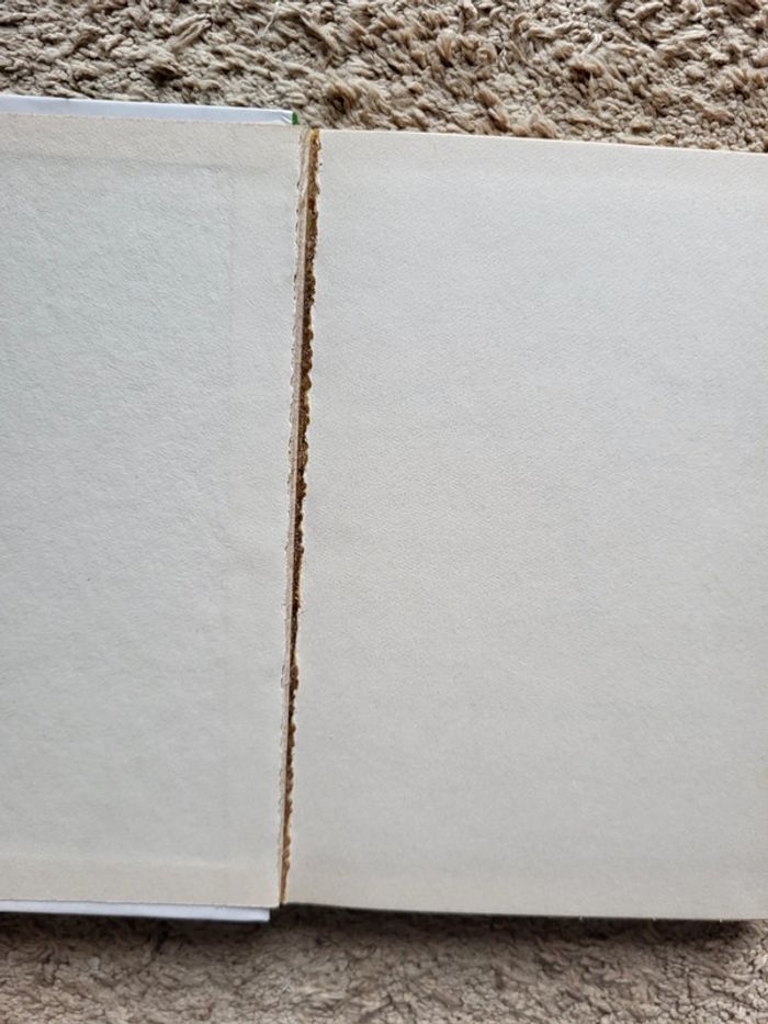 Livre enfant Alice et le mauvais présage de Caroline Quine Bibliothèque verte - photo numéro 10