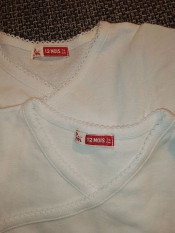 Lot 2 bodies DPAM 12 mois