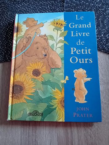 Livre le grand livre de petit ours