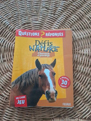 Défis nature chevaux et poneys