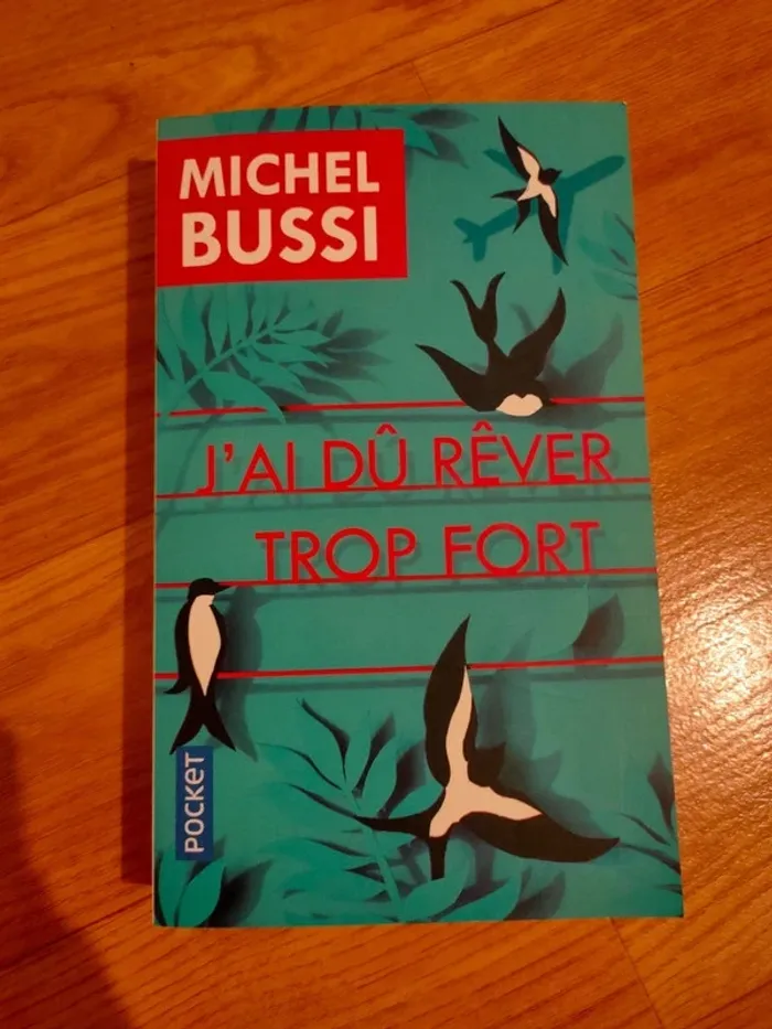 J'ai dû rêver trop fort