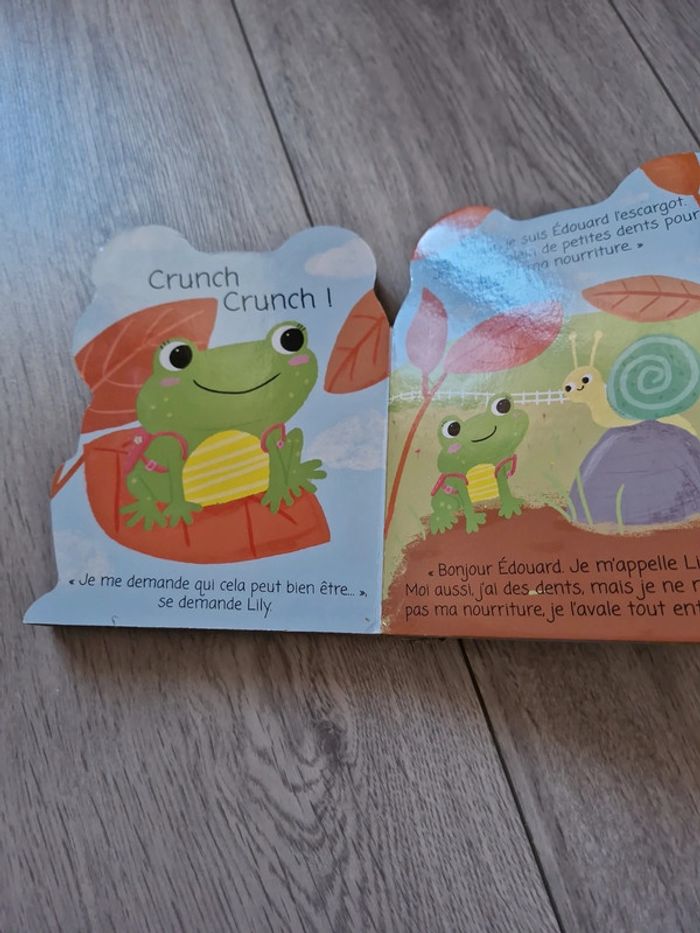 Lily la grenouille - photo numéro 3