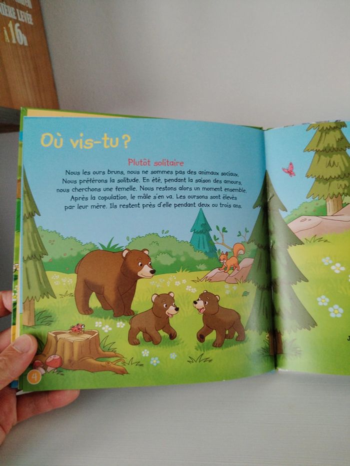 Altaya Les animaux de la forêt n°2 L'ours brun - photo numéro 9
