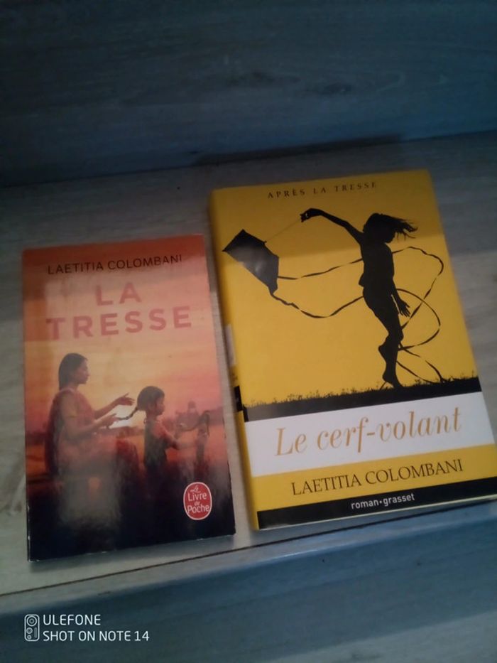 Lot de 2 romans la tresse + le cerf volant