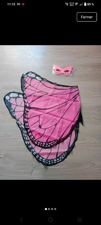 Déguisement papillon 