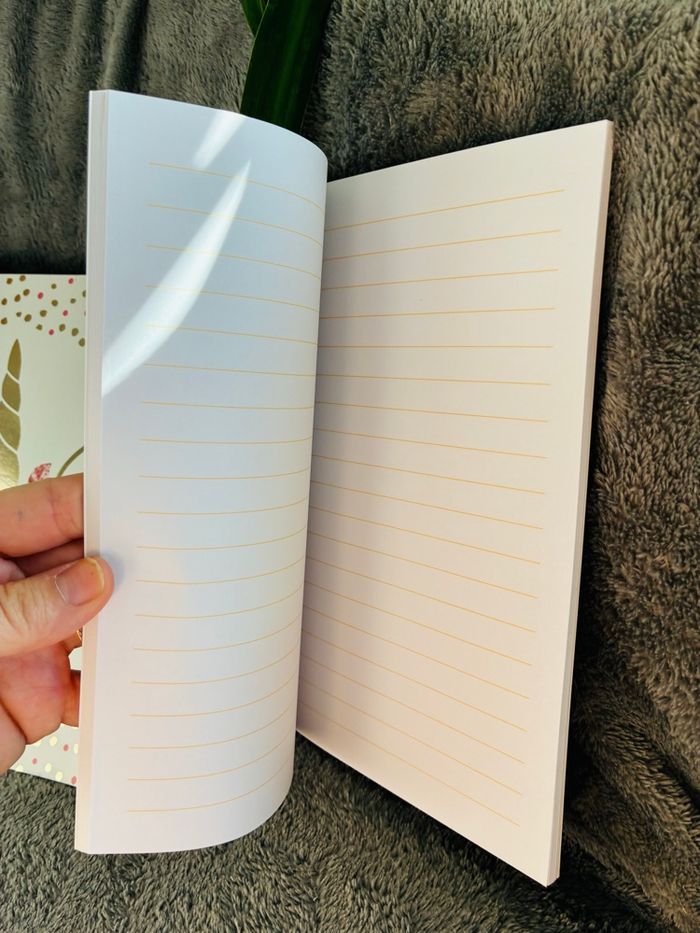 Lot tirelire et carnets licorne - photo numéro 2