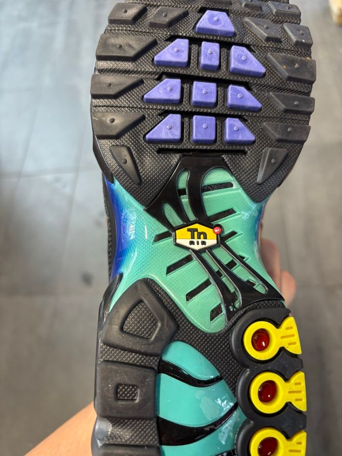 TN noire et verte - photo numéro 3