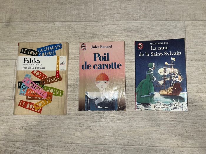 Livres - photo numéro 6