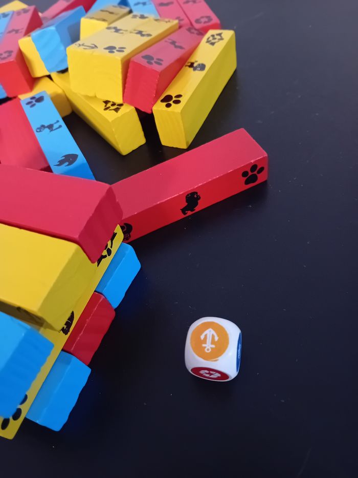 Jeu Pat Patrouille - photo numéro 3