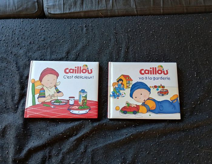 Lot de 2 livres caillou