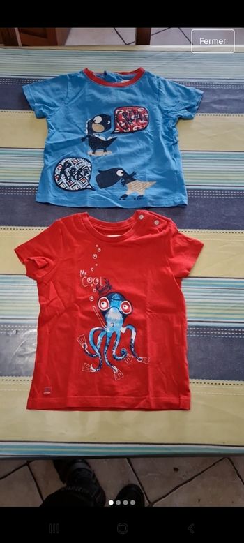 Lot de 2 Tee-shirts 18 mois