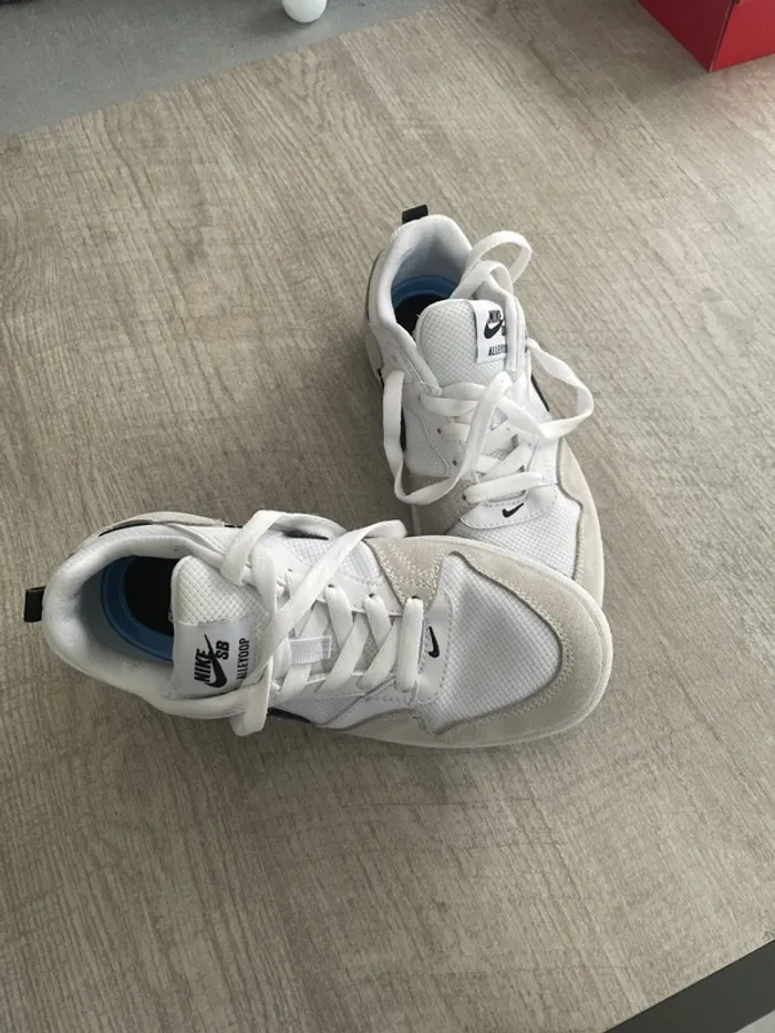 Basket Nike sb alleyoop