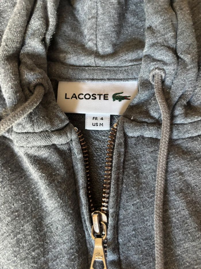 Sweat Lacoste - photo numéro 2