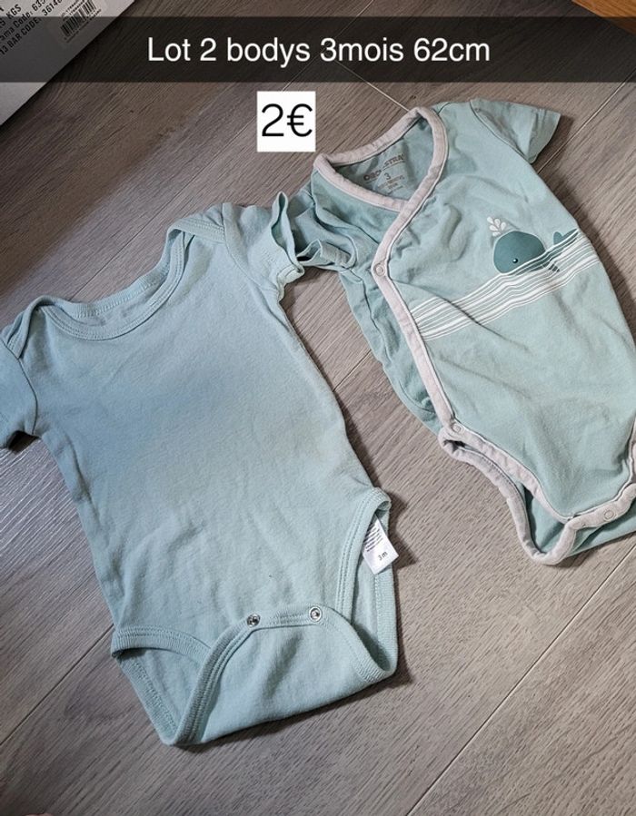 Lot 2 bodys
