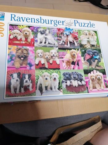 Puzzle chien 500 pieces