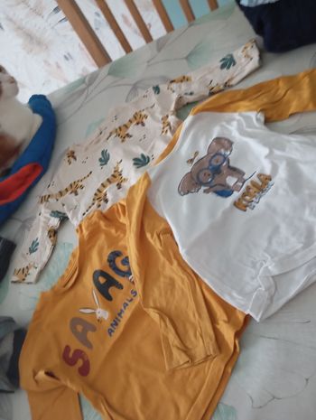 Maillot  mangue  longue