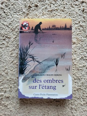 Roman jeunesse Des ombres sur l'étang d'Alison Cragin Herzig