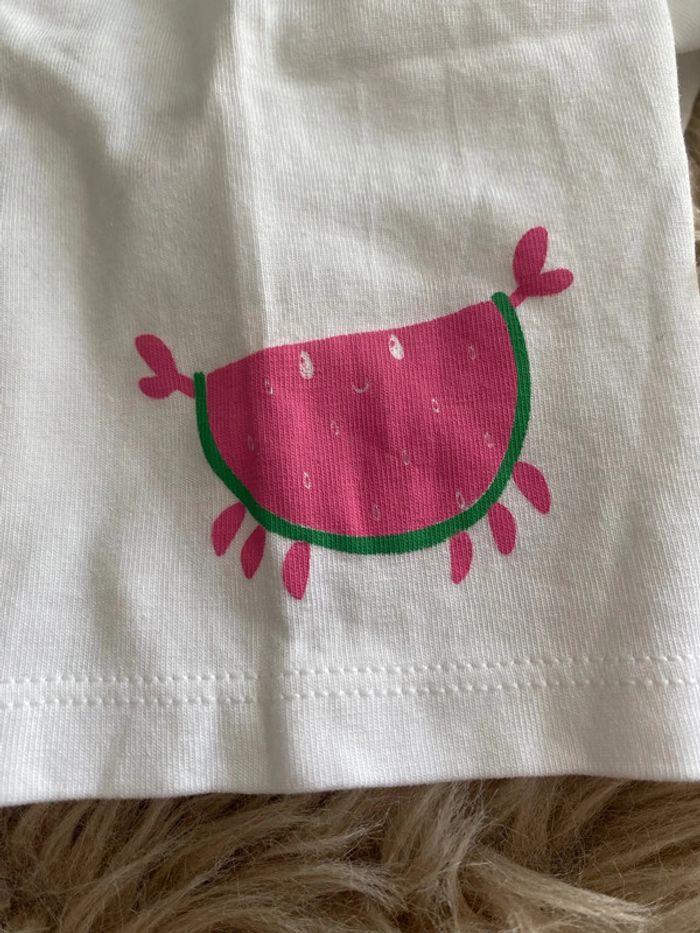 Short crabe - photo numéro 2