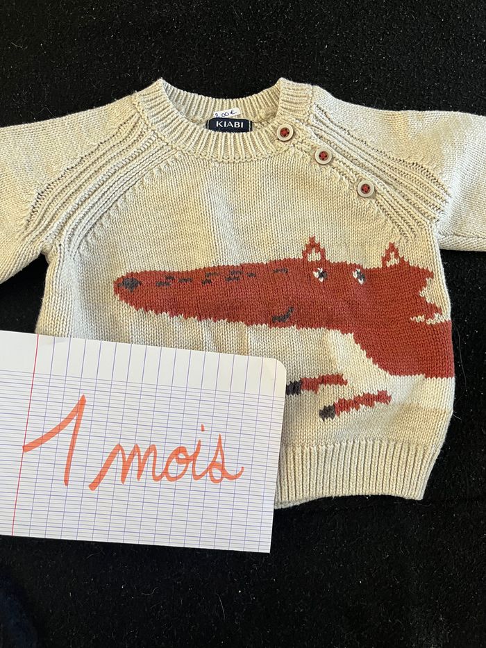 Pull 1 mois